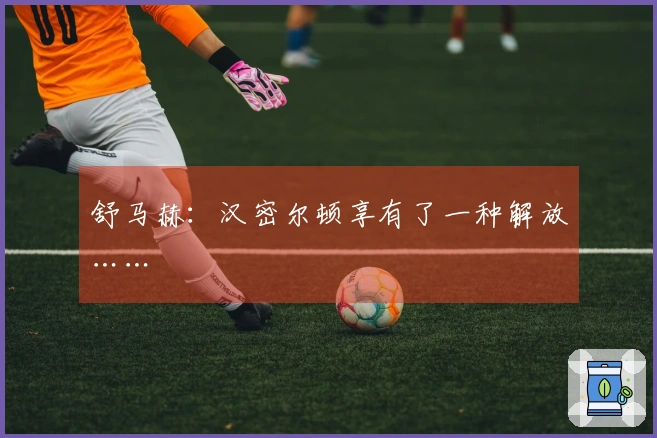 舒马赫：汉密尔顿享有了一种解放……