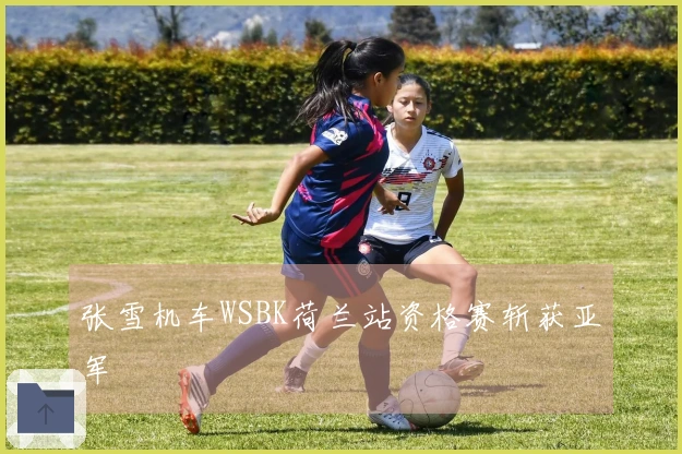 张雪机车WSBK荷兰站资格赛斩获亚军