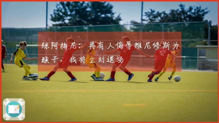 琼阿梅尼：再有人侮辱维尼修斯为猴子，我将立刻退场