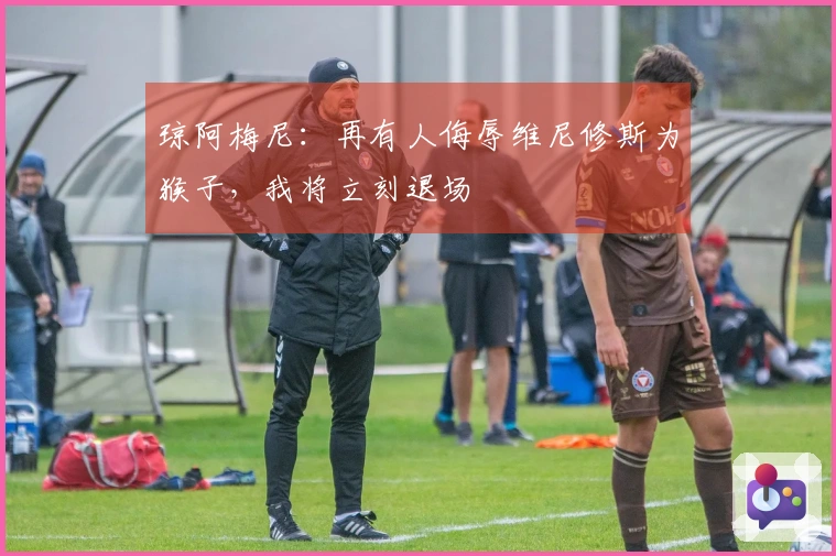 琼阿梅尼：再有人侮辱维尼修斯为猴子，我将立刻退场