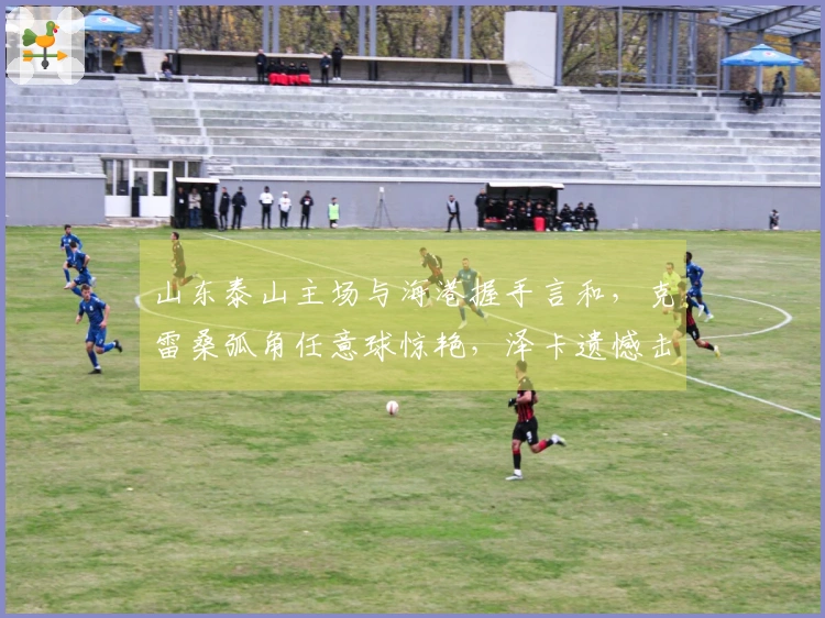 山东泰山主场与海港握手言和，克雷桑弧角任意球惊艳，泽卡遗憾击中立柱