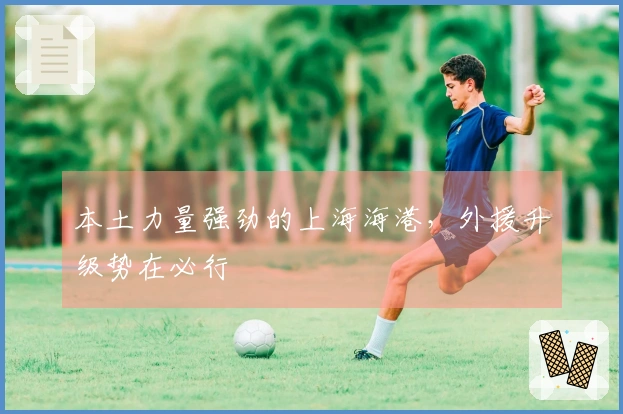 本土力量强劲的上海海港，外援升级势在必行